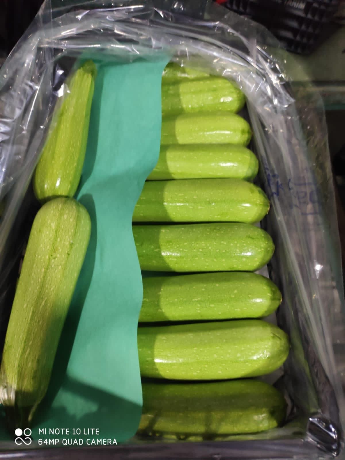 Aton Green Egypt Fresh Fruits & Vegetables